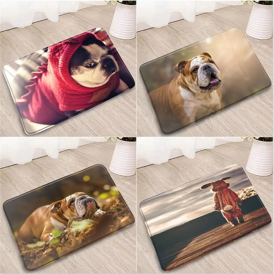 

Animals Bathroom Mat Cute Dogs Cats Squirrel Rabbit Flower Plant Homehold Decor Rug Doorway Kitchen Bedroom Non-Slip Carpet