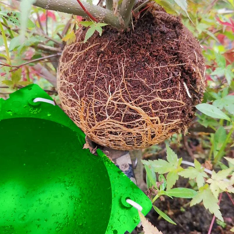 

5Pcs Plant Root Growing Box High Pressure Gardening Plant Root Ball Breeding Case For Grafting Rooting Plant Box