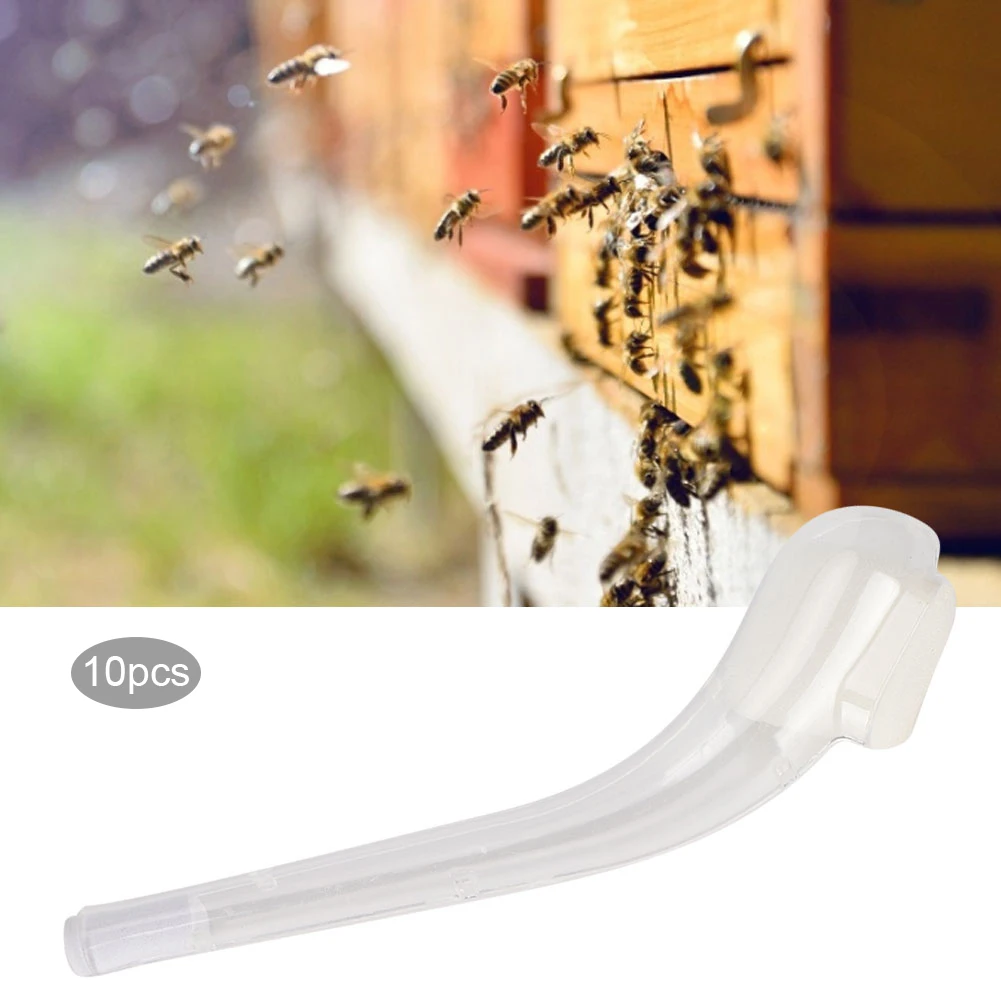 10 шт король ловушка для пчел ложка безвредная ловля пчеловодства инструмент