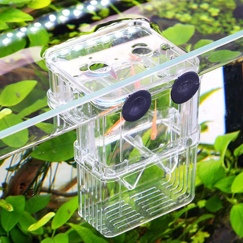 Двухслойный прозрачный бокс для разведения рыб плавающий инкубатор защитный