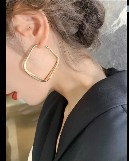 

925 SilveNeedle metal geometry Earrings European and American temperament round square hoop Earrings for women jewelry Partyt