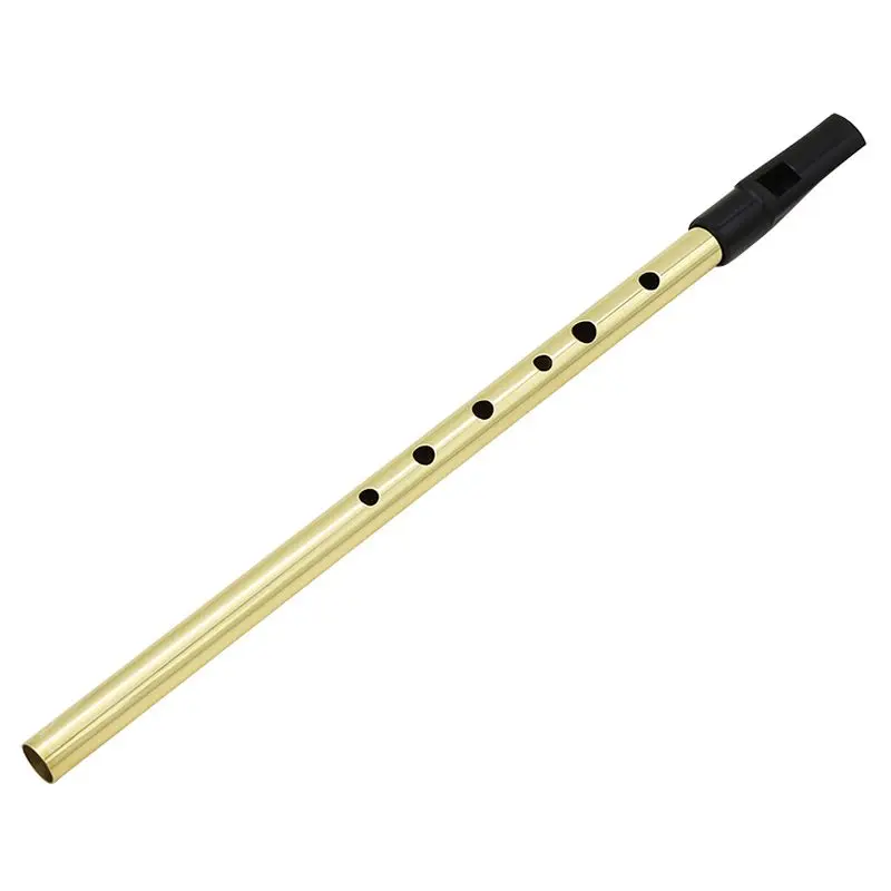 Irish Whistle Ireland Flute whistle Tin Key of D Penny 6 Holes Chanter Mini pocket Musical Instrument Gold | Спорт и развлечения