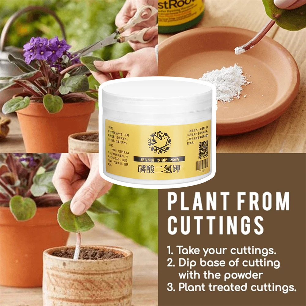 Корневой порошок для пересадки растений быстрый корневой корень роста