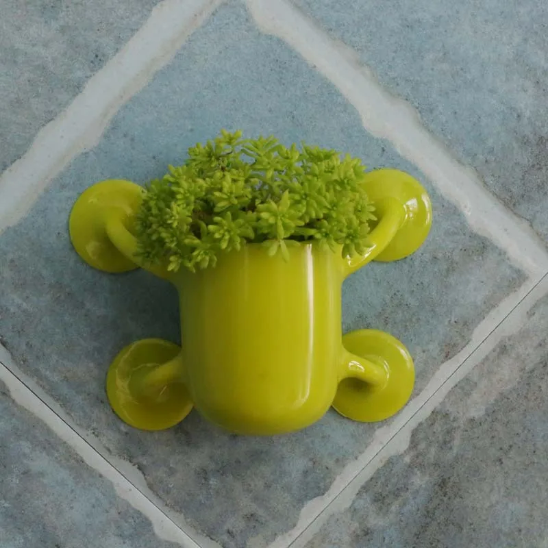 Маленький мясистый цветочный горшок креативный стеклянный настенный простой на