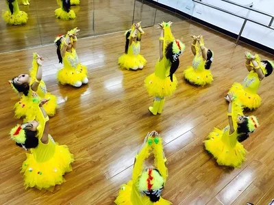 Детские животные цыплята также сумасшедшие костюмы Детский Лебедь шоу одежда