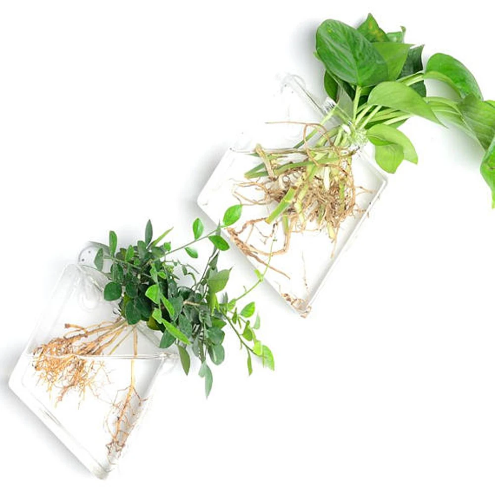 Новая прозрачная стеклянная настенная ваза настенный подвесной растительный