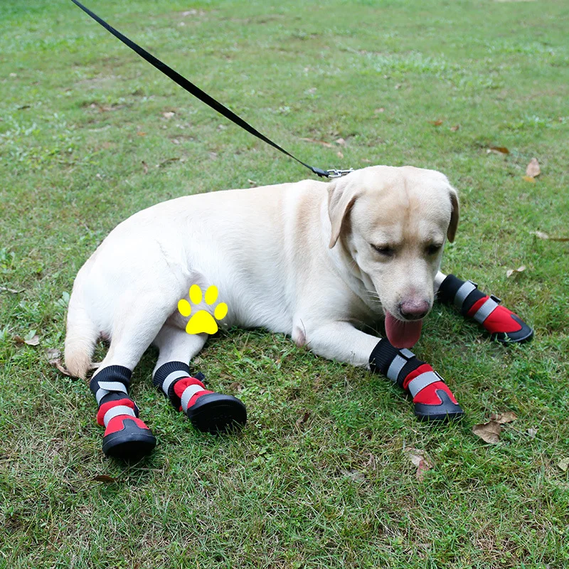 

Aapet 4pcs/set Polyester Anti-slip Snow Dog Boots Shoes Dog Paw Protector For Outdoor Travel Winter Warm Shoes For M/L Size Dogs
