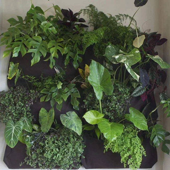 BMBY садовый вертикальный горшок для растений с несколькими карманами настенное