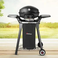 promotion new design gas BBQ grill, gas stove,gas oven,outdoor BBQ grill with motor,two burners BBQ grill with cover