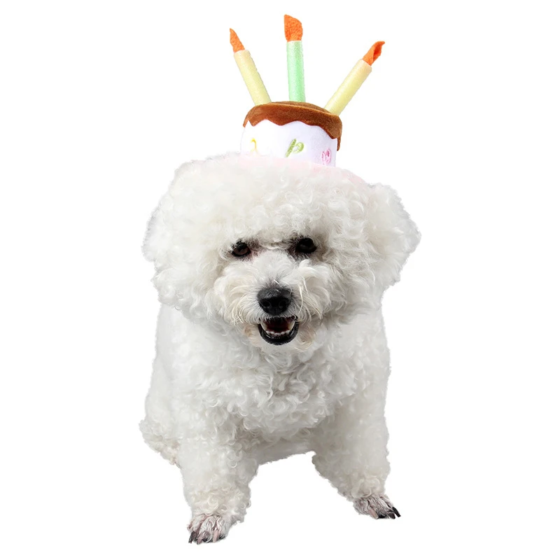 1 шт. 2 размера Регулируемая Кепка для кошек и собак в форме фруктов|Кепки собак| |