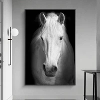 black background white horse canvas paintings posters and prints art wild animals canvas wall art pictures for home decoration