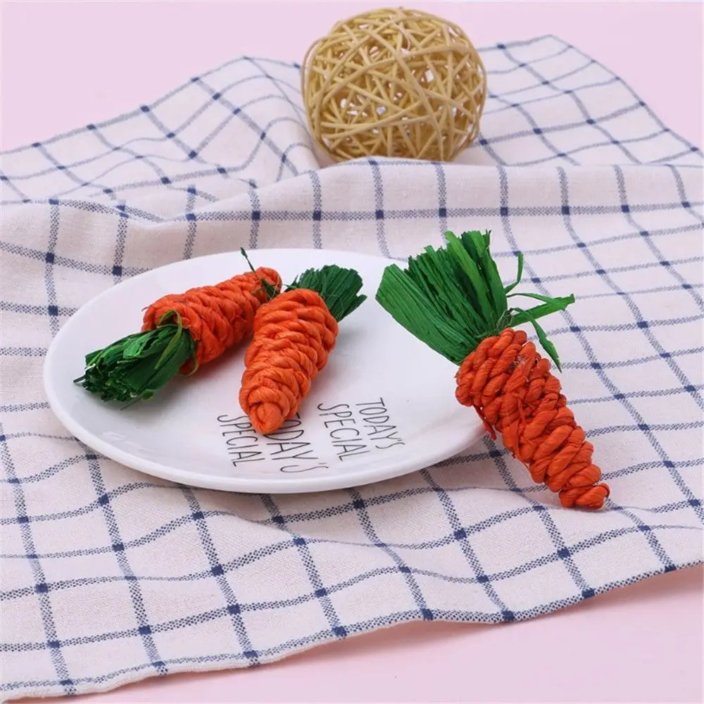 

3Pcs Interactive Hamster Bird Bunny Tooth Cleaning Chew Toy Carrot Shaped Molar Toy
