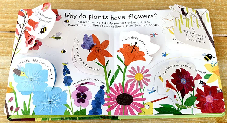 Первые вопросы и ответы через Usborne как расти цветок английские Обучающие книжки с