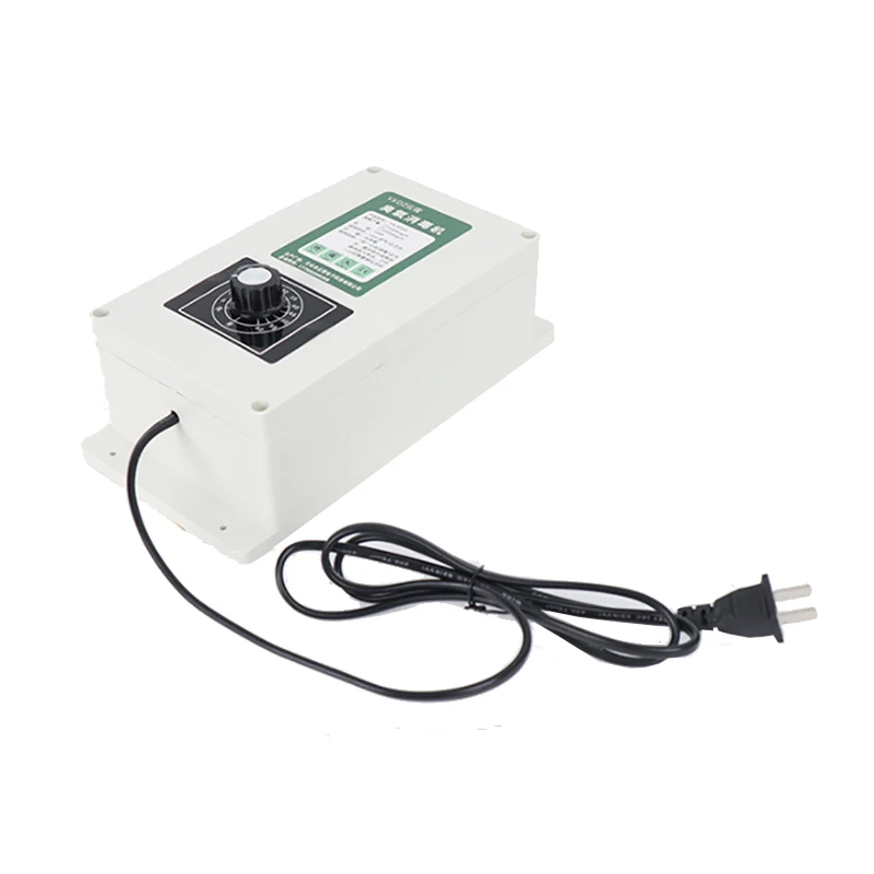 

2000mg Ozone Generator (220v 8L) with Timer Vegetable Washing and Disinfecting Fruit and Vegetable Detoxification machine