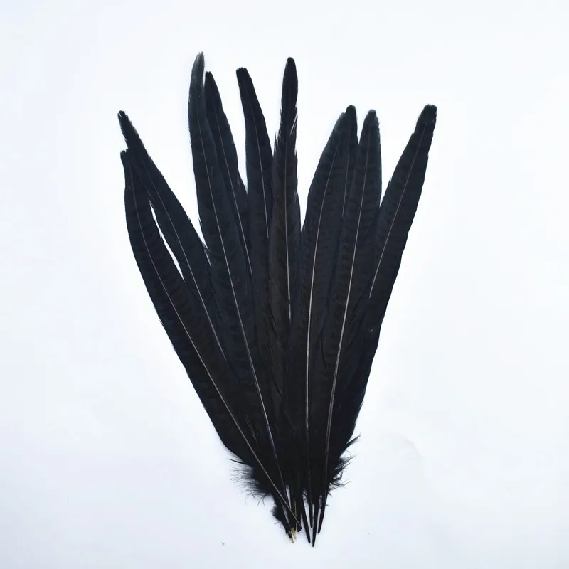 

10Pcs/Lot Female Pheasant Tail Feathers for Crafts Natural Pheasant Feather Wedding Feathers Decoration DIY Carnaval Assesoires