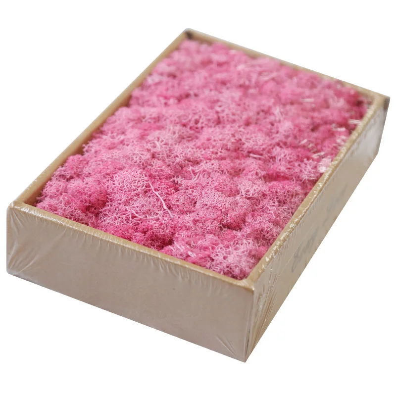 Pink Искусственное растение вечная жизнь 200 г мох сад украшение дома стены DIY цветок материал Мини Сад Микро Ландшафтные аксессуары - Цвет: Pink
