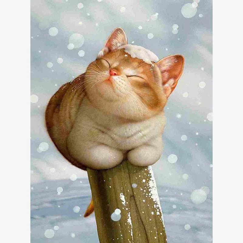 

5D алмазная живопись «сделай сам», кристалл кошки стразы, Декор, вышивка, полная квадратная круглая мозаика, вышивка крестиком, домашние пода...