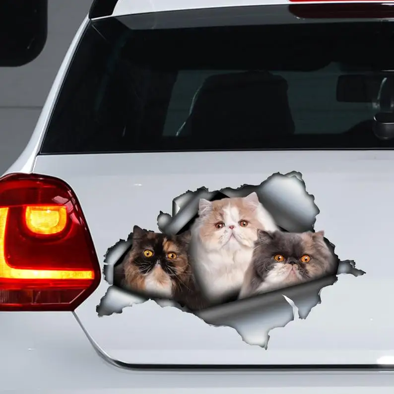 

Cats decals, Persian cat car decal , Persian cat magnet