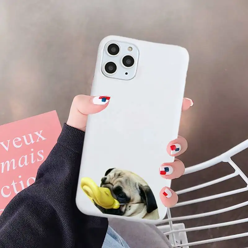 

funny bulldog Cute animal art luxury Phone Case funda Candy Color for iPhone 6 7 8 11 12 s mini pro X XS XR MAX Plus
