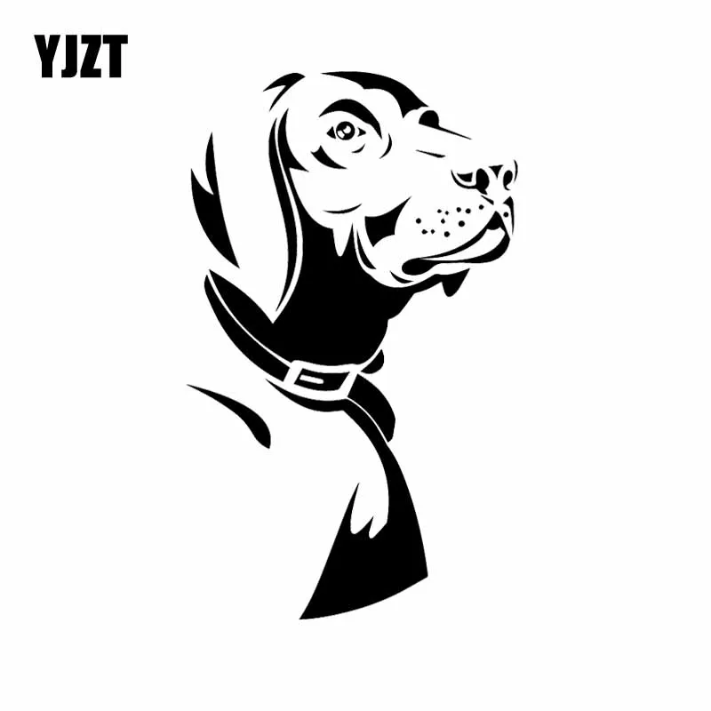 

YJZT x см Автомобильная наклейка креативная мультяшная фотография Искусство Декор смешной Рисунок черный/серебряный цвет