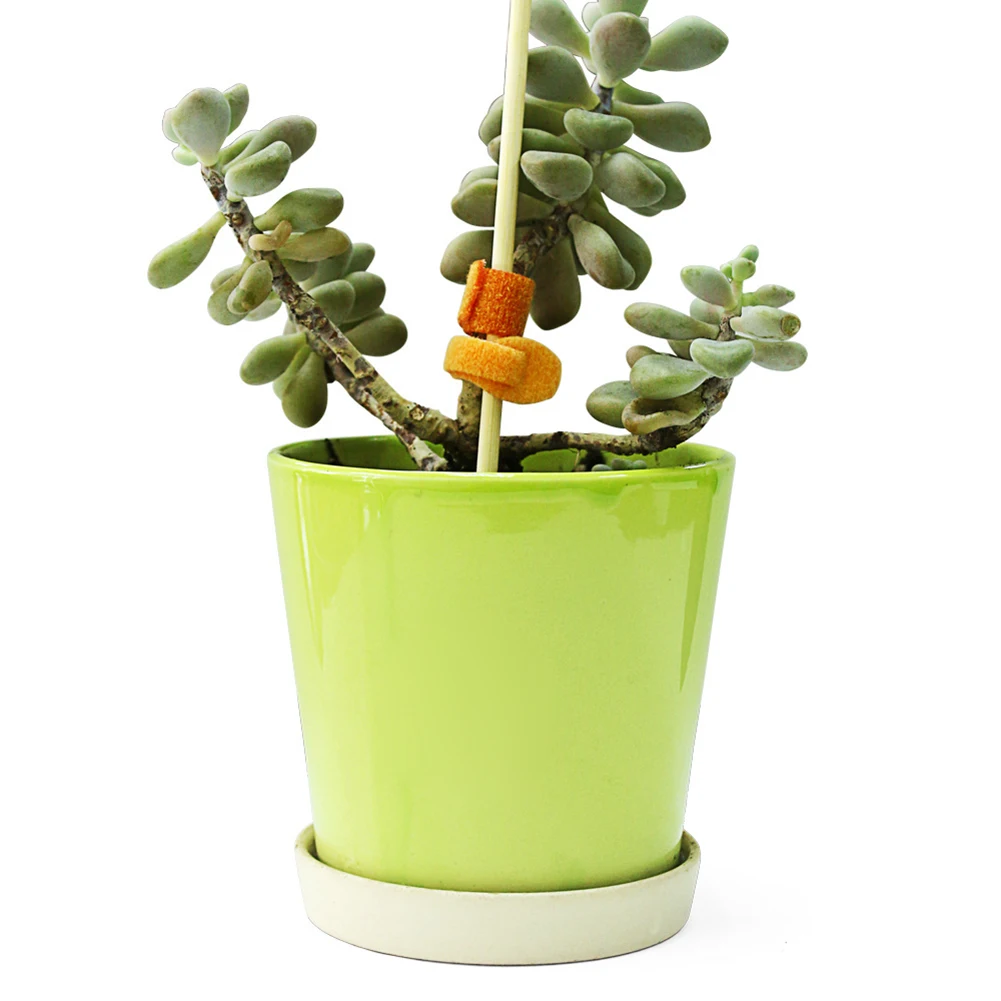 Plant Bandage Gardening Vine Climbing Plants Cable Tie Lines Brackets Parts Bonsai Flower Cucumber Grape Rattan Supports |