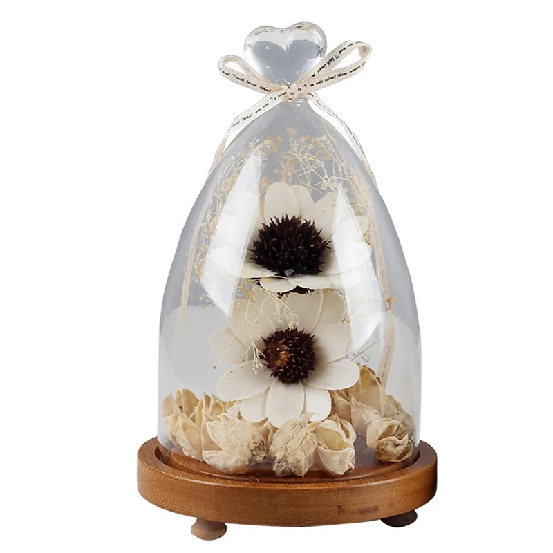 Ваза для сухих цветов со стеклянной крышкой украшение дома фоновая декорация