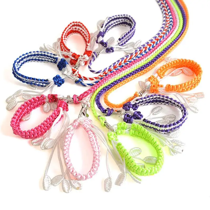 

Pet Leash Small Pets Harness Hamster Rabbit Chinchilla Squirrel Outdoor Adjustable Chest Lead Rope for Rabbit Kittens