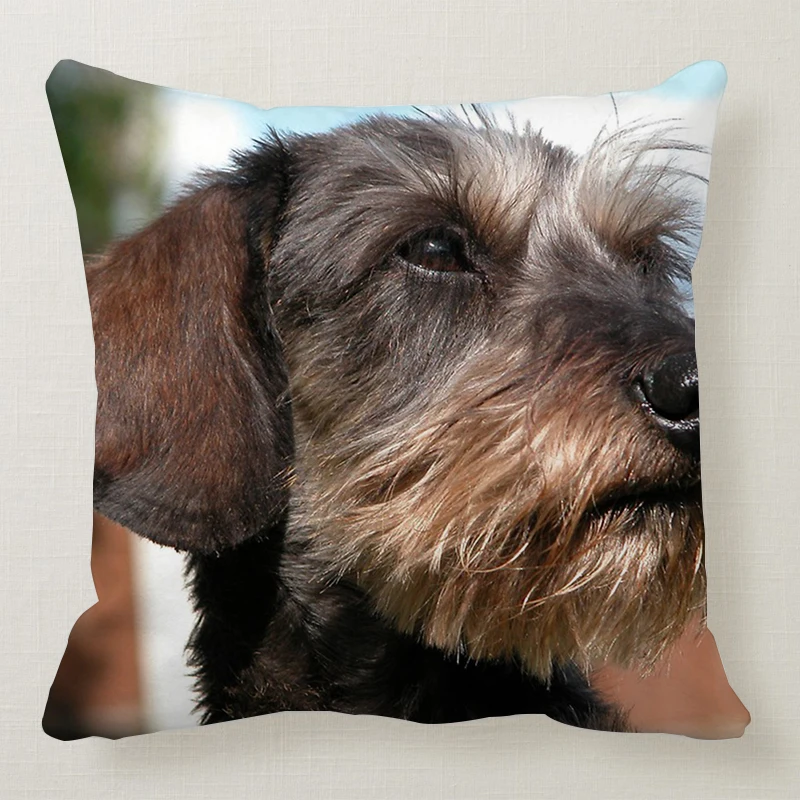 1 шт. 45*45 см милая собака подушка чехол Wirehaired подушки с таксой диван кровать автомобиль подушка чехол Спальня украшение в виде таксы Подушка бухта