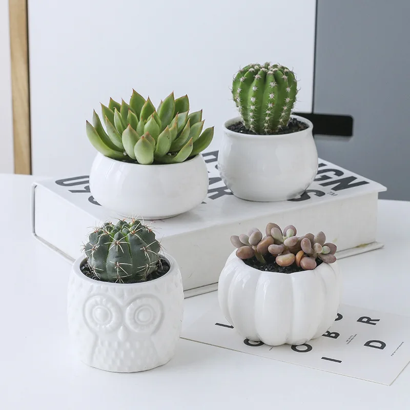 Ceramic Garden Pots Modern Decorative Nursery Succulent Plant Pot 3 Bonsai Planters with 3-Tier Bamboo Shelf Free Ship | Дом и сад