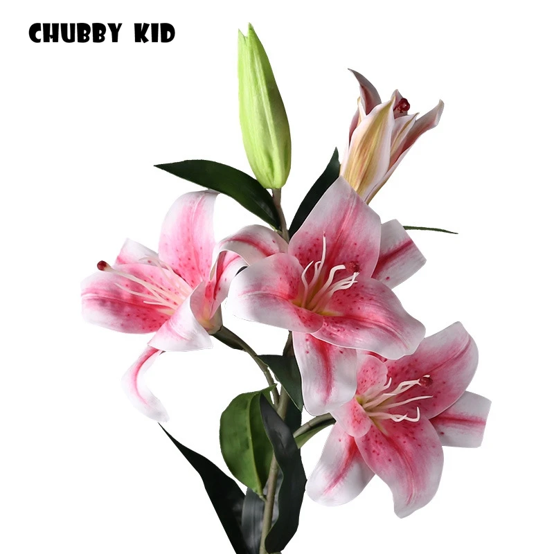 Лиля лагуна. Любовь зельнева. Leonna lili_88 stripchat. Костюмированные lily sands. Лиля логун г.