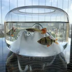 Прозрачный стеклянный аквариум с изображением Снежной Горы, креативный мини-аквариум, украшение для домашнего чайного стола для украшения гостиной