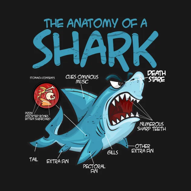 

The Anatomy Of A Shark Graphic Shark Love Women's T-Shirt