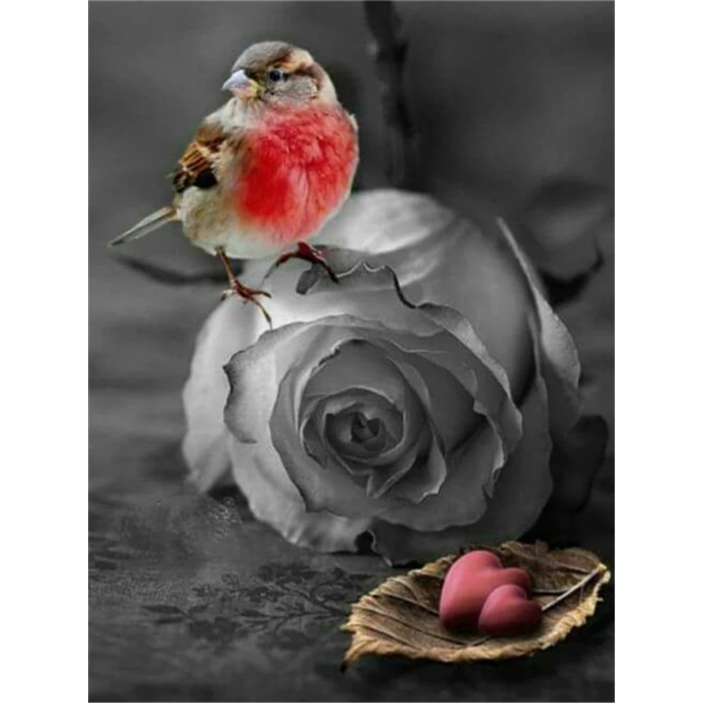 

Алмазная 5D мозаика «сделай сам» с птицами, полная вышивка, полный комплект, рождественский подарок, домашний декор, украшение для дома