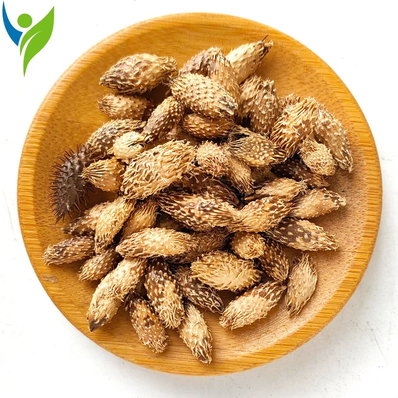 

Ксантиум сибирикум, травяные растения, свежие товары, большой запас (canger zi)