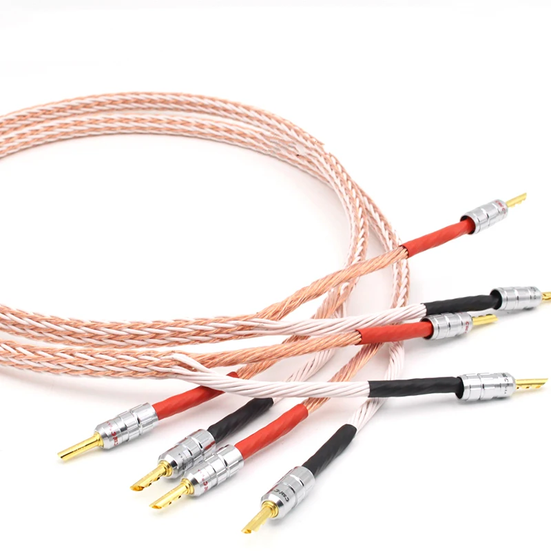 Hifi 12TC  Speaker Cable With 2 Banana Plug to 2/4 Banana Jack Hi-end OCC Speaker Wire biwire speaker cable