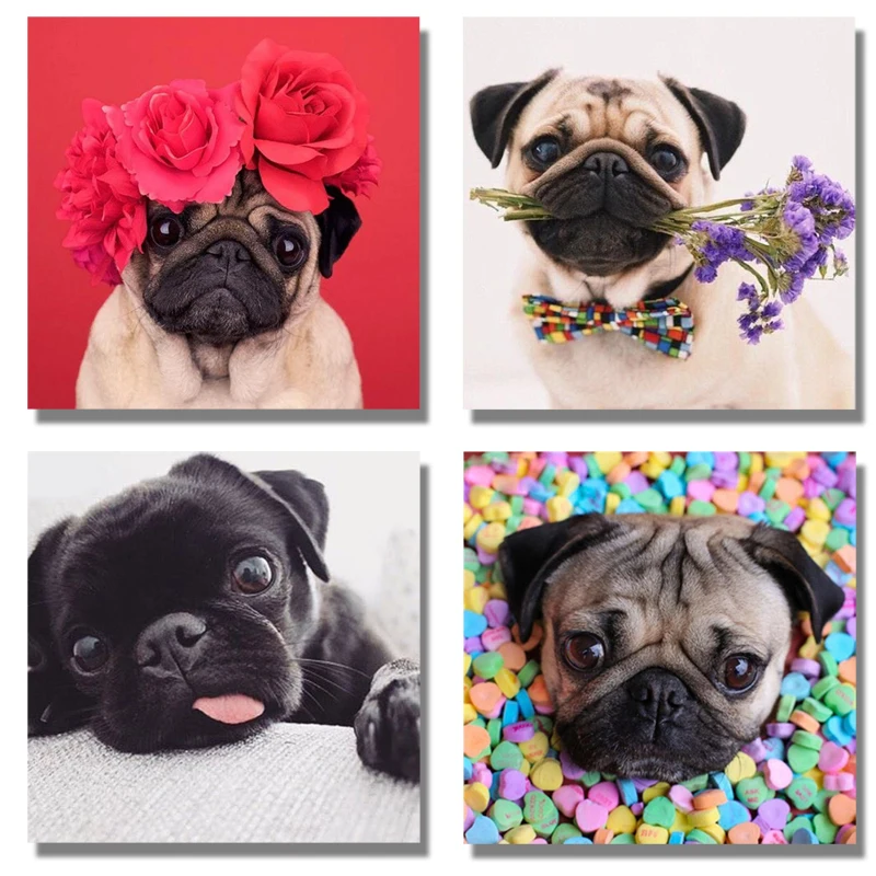 Полная дрель 5D DIY алмазная живопись Новый мопс собака животные вышивка круглые