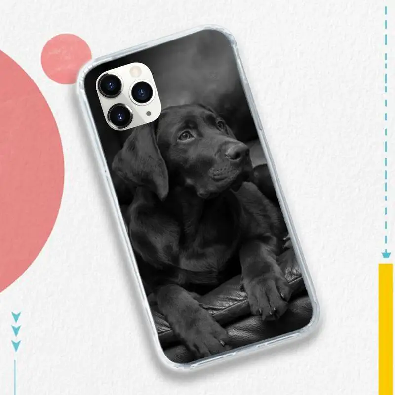 

Sad Labrador Dog cute animal high quality Phone Case shell for iPhone 11 12 pro XS MAX 8 7 6 6S Plus X 5S SE 2020 XR