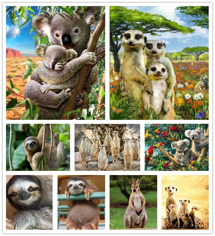 Ленивый коала Алмазная картина Австралия животные кенгуру попугай Magpies Meerkat 5D