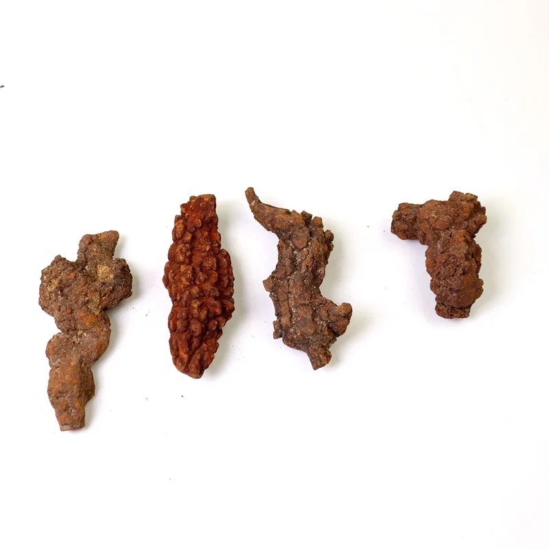 Натуральный достаринный животных Feces образцы Fossil Coprolite коллекция натуральных