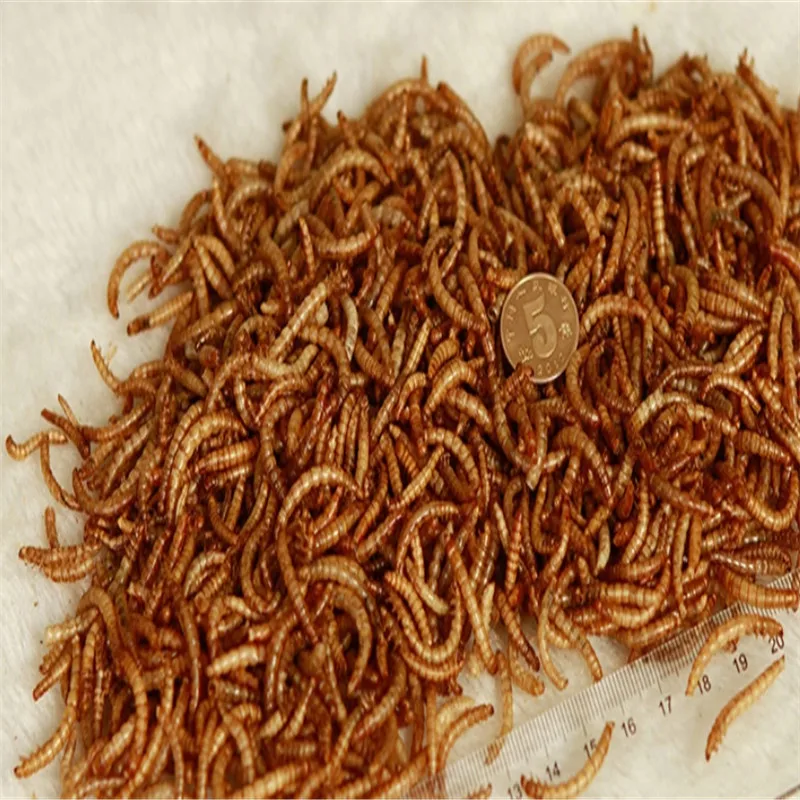 2020 сушеный аквариум Mealworm пруд рептилии дикая птица еда хомяк семена птиц ящерица