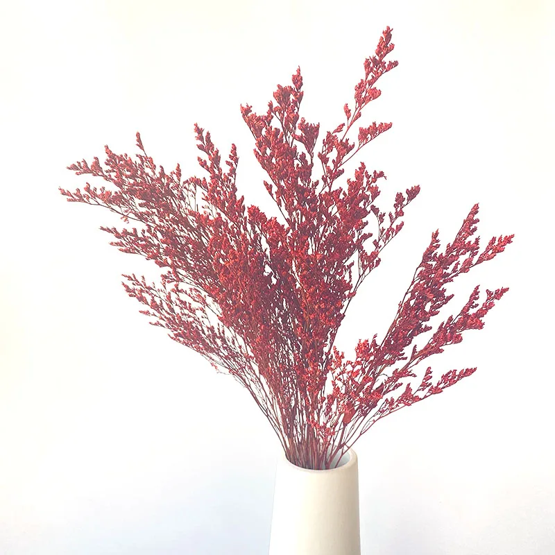 Натуральный Свежий сушеная Сохраненная Искусственные цветы Гипсофилы