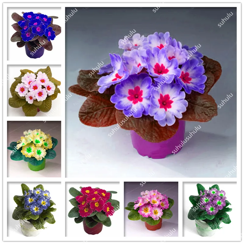 100 шт Искусственный Примула | Дом и сад