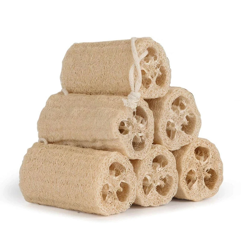 

10Pcs Natural Loofah Organic Shower Loofah Spa Exfoliating Bath Body Scrubber for Removing Dead Skin, No Bleaching