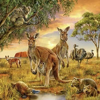 5d diy diamond painting full squareround drill animal kangaroo 3d rhinestone embroidery cross stitch gift home decor