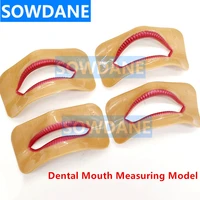 4 pcs dental lab denture laboratory mouth measuring lip measurement tool lip moldel aesthetics parts 4 pcs different shape