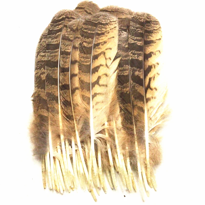

10pcs/Lot Rare Owl Eagle Feather 10-12inch/25-30cm Eagle Feathers for Crafts Plumage Headdress Costume Various Decorative Plumas