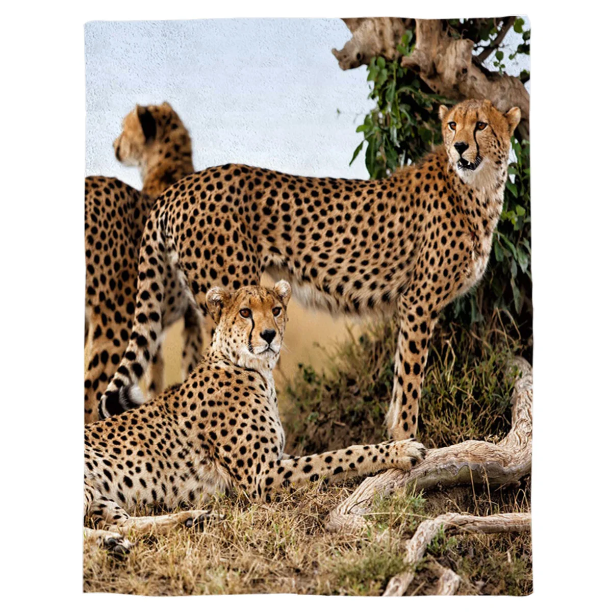 Cheetah Фланелевое флисовое покрывало на кровать мягкое легкое теплое удобное