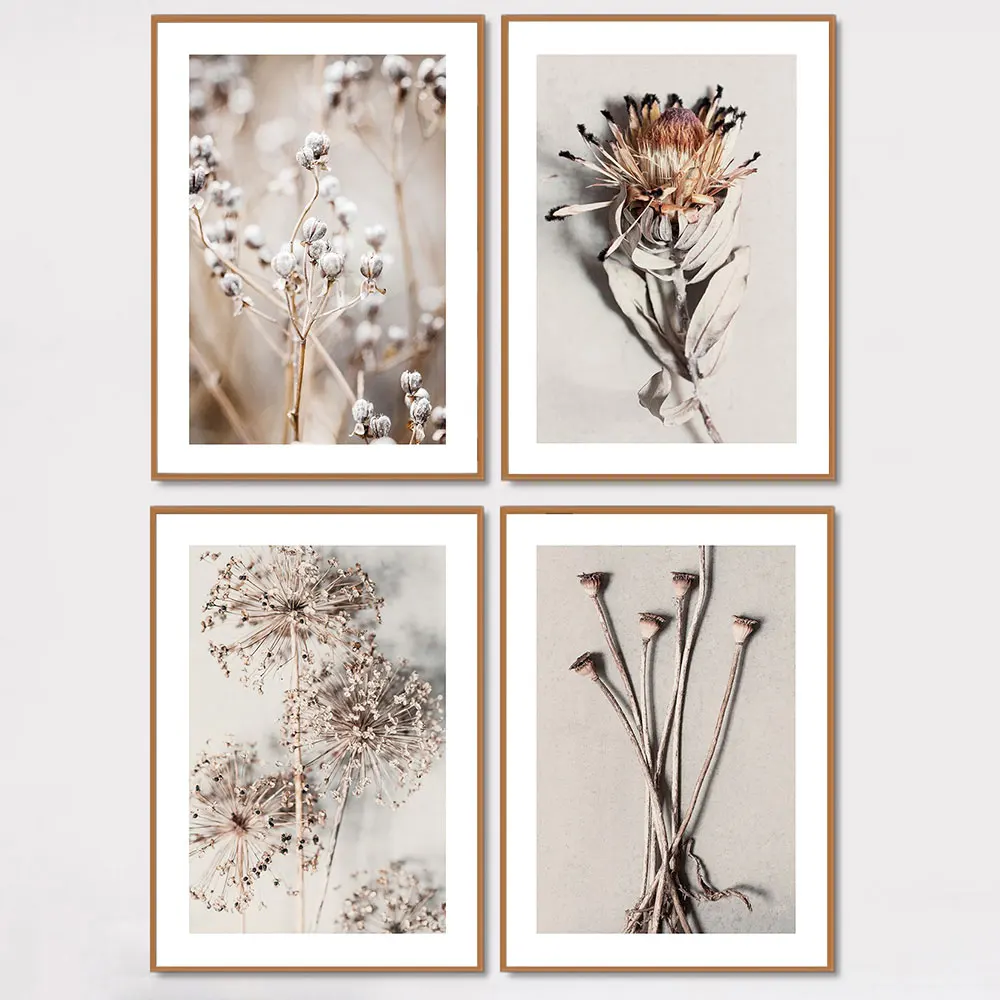 Высушенные растения и цветы на бежевом фоне Постер печать стене растительные