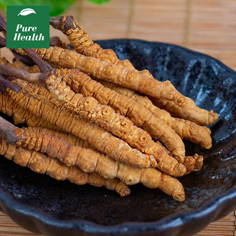 

Chinese Caterpillar Fungus (Dong Chong Xia Cao)Cordyceps