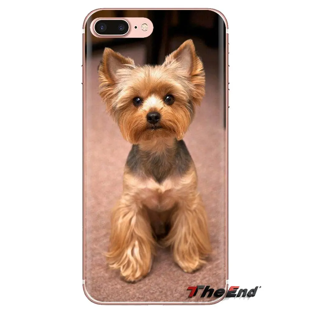 Силиконовые чехлы для телефона с надписью &quotЯ люблю мою Йоркширский терьер